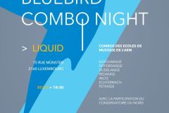 2016-06-28-Bluebird-Combo-Nignt-Liquid-A2